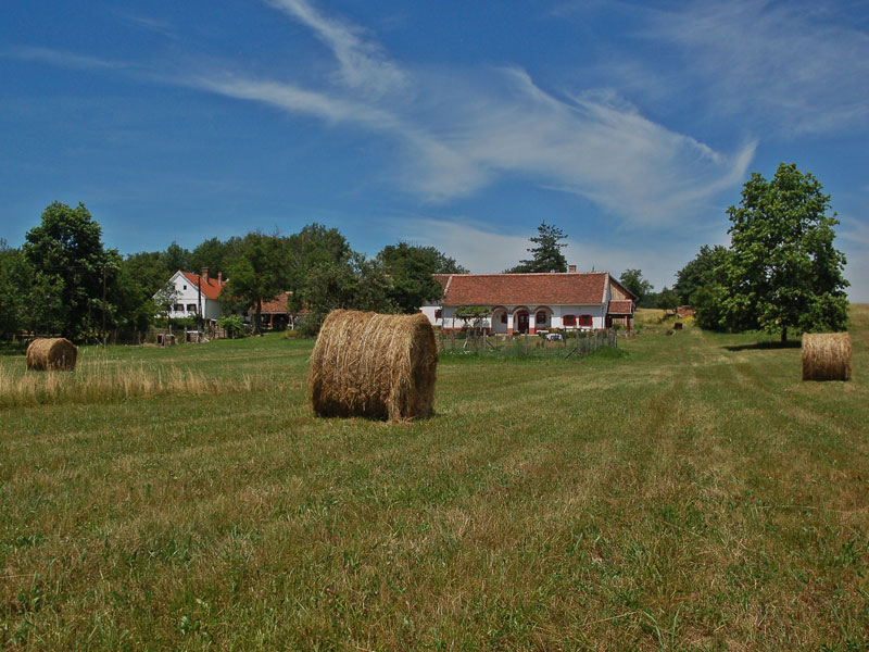 Múltidéző Porta