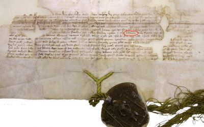 Az 1364-es királyi oklevél